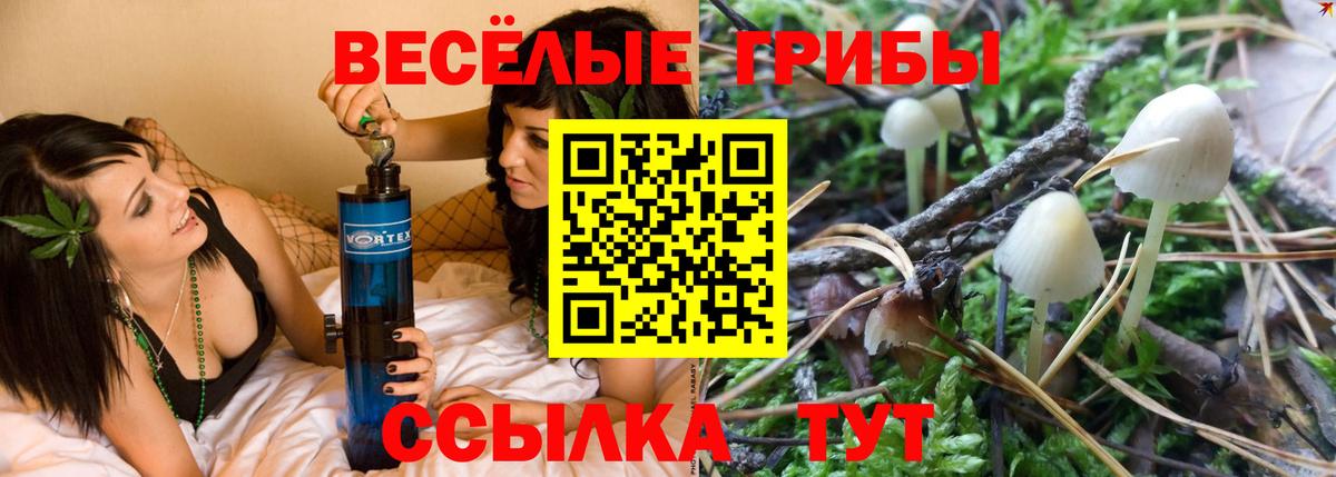 Галлюциногенные грибы Psilocybe Магнитогорск